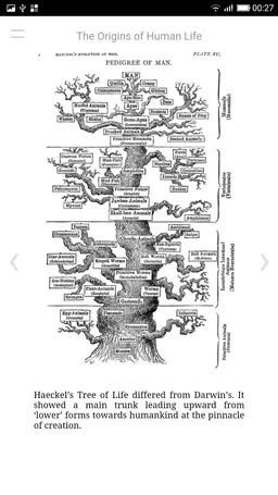 The Origins of Human Life screenshot 2