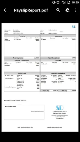Payslip screenshot 3