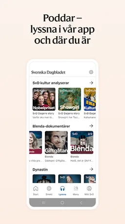 Svenska Dagbladet screenshot 2
