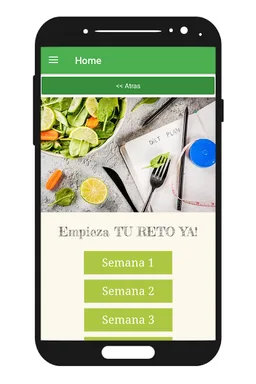 Dieta Detox Gratis screenshot 3