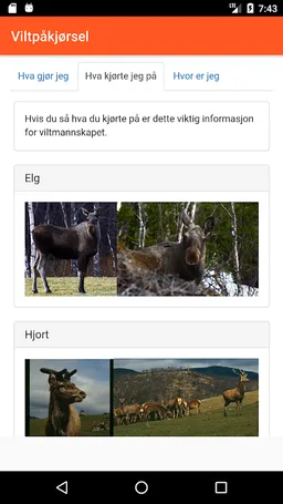 Viltpåkjørsel screenshot 2