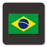LL - Português do Brasil icon