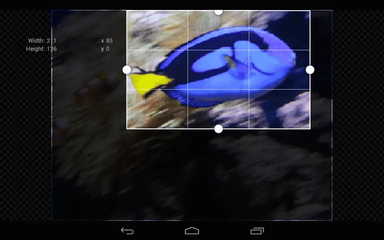 GIF Studio screenshot 5