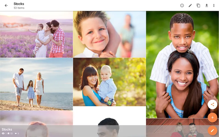 Zenfolio screenshot 10