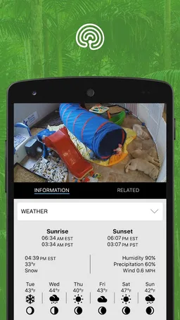 explore.org screenshot 10