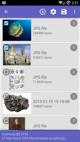 DiskDigger photo/file recovery screenshot 11
