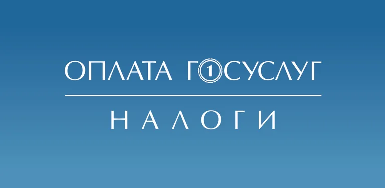 ФНС: Оплата налогов cover image