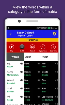 Learn Gujarati Language App screenshot 15