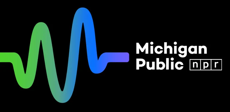 Michigan Public cover image