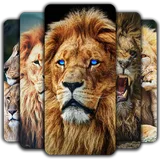 Lion Wallpaper icon