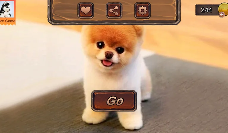 Pomeranian Simulator screenshot 9