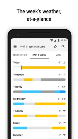 Forecaster - visual, accurate screenshot 1