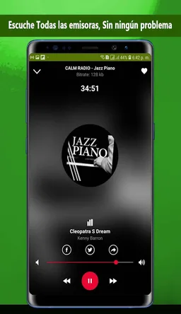 Instrumental music screenshot 2