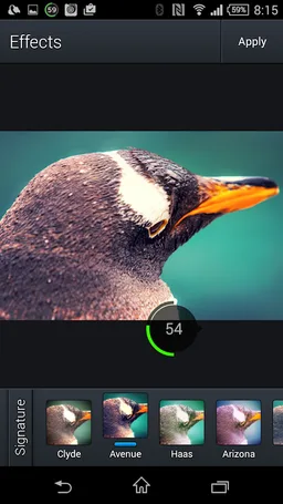 Squaready screenshot 6