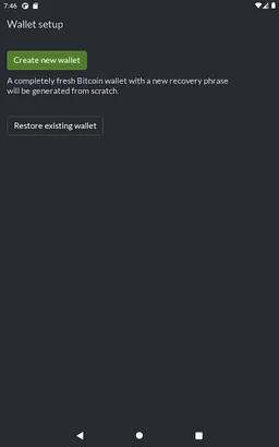 SBW: Simple Bitcoin Wallet screenshot 7