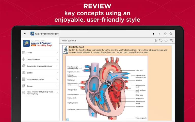 Anatomy & Physiology Made Easy screenshot 6