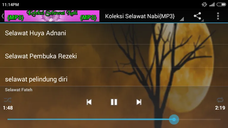 {MP3}Koleksi Selawat Nabi screenshot 8