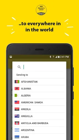 Western Union - PayLink screenshot 1