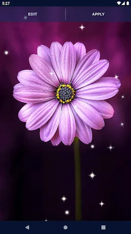 Live Wallpaper Creator Editor screenshot 5