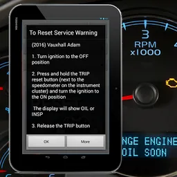 Vehicle Service Reset Oil screenshot 2
