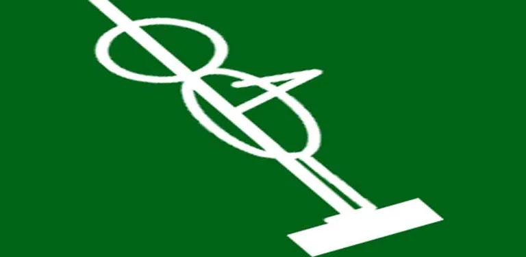 Action Swing cover image