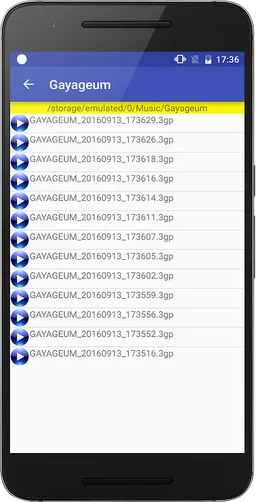 Gayageum - Korean Instrument screenshot 3