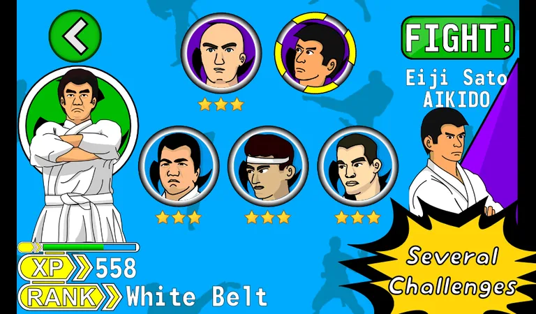 Kana Karate - Language Master screenshot 2