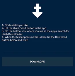 DashDownloader Tumblr Video Downloader screenshot 2