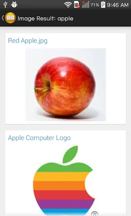 Shwebook Dictionary Pro screenshot 7