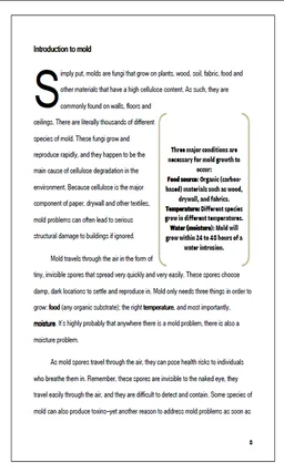 Full Mold Book App screenshot 4