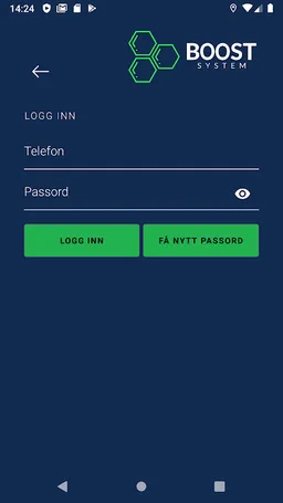 Boost System screenshot 2