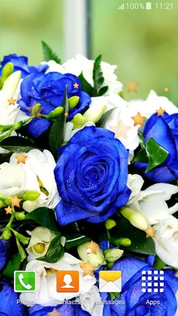 Blue Rose Live Wallpapers screenshot 5