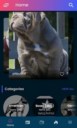 Pitbull HD Wallpaper 2019 screenshot 7