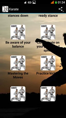 Karate screenshot 4