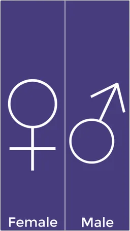 Skins for Minecraft screenshot 1