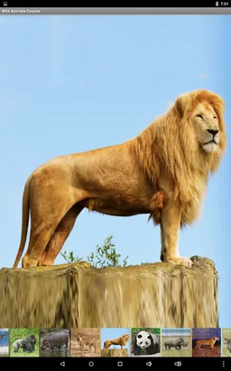 Wild Animals Sounds screenshot 5