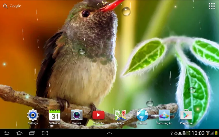 Hummingbirds Live Wallpaper screenshot 2