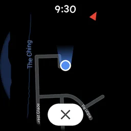Google Maps screenshot 1