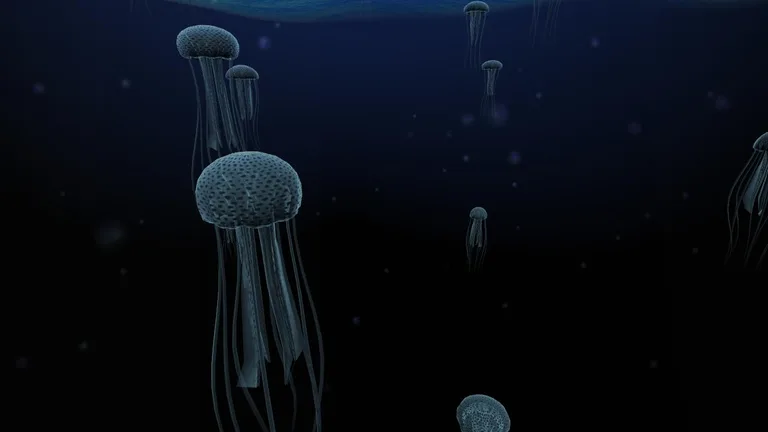 Jellyfish 3D LiveWallpaper screenshot 12
