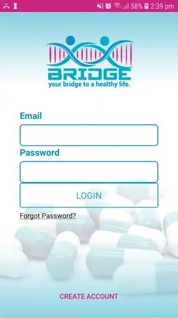 Bridge screenshot 4