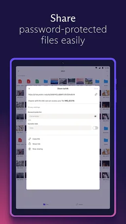 Proton Drive: Cloud Storage screenshot 12