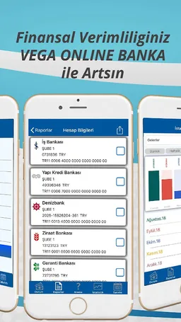 Vega Banka screenshot 4