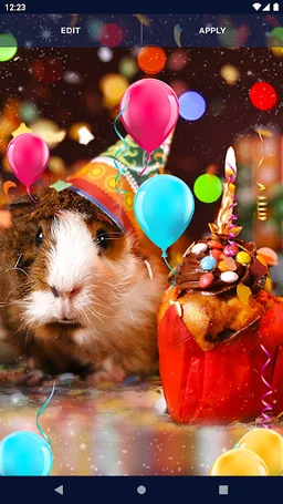 Happy Birthday Live Wallpaper screenshot 6