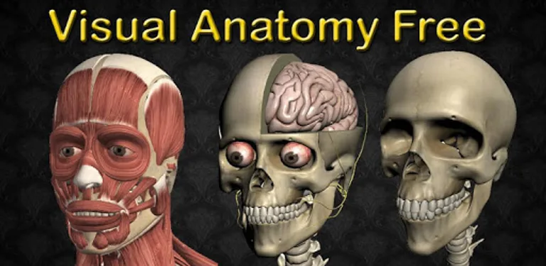 Visual Anatomy Free cover image
