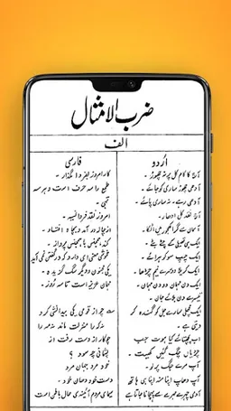 Learn Persian Farsi screenshot 7