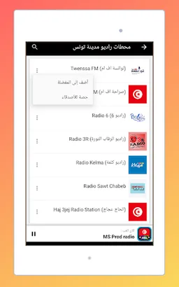 Radio Tunisia FM: Radio Online screenshot 8