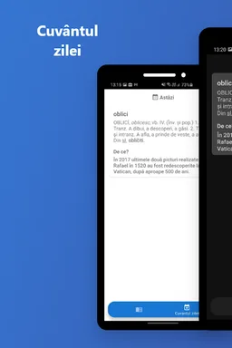 DEX - dictionar roman screenshot 4
