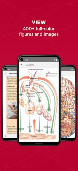 Anatomy & Physiology Made Easy screenshot 1