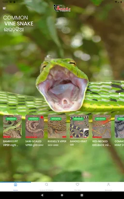 Snake Helpline screenshot 4