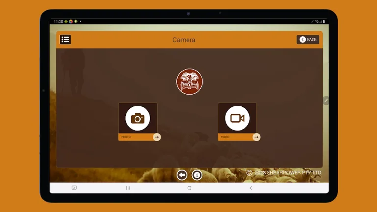Shearing screenshot 14